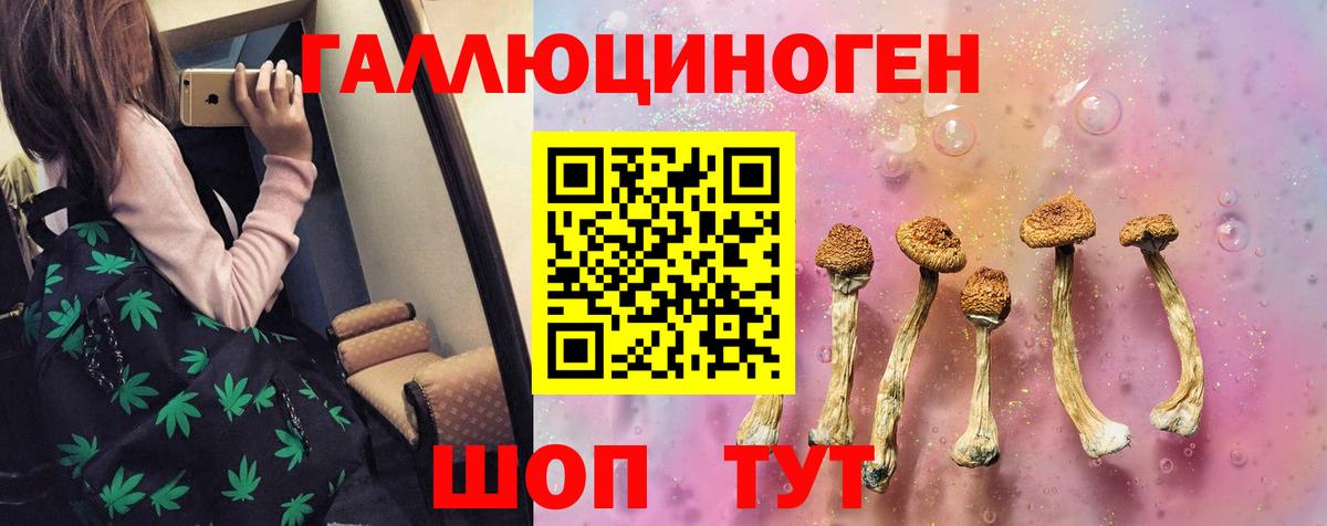 Лесозаводск  Галлюциногенные грибы Cubensis  Вход с VPN 